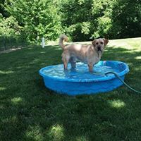 Beth Pullen Photo 18