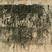 Michael Coe Photo 15