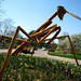 Roger Morton Photo 30