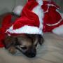 Carolyn Shepherd Photo 9