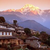 Raj Rawal Photo 19