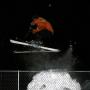 Dallas Thomason Photo 4