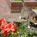 Betty Laws Photo 8