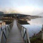 Lisa Skinner Photo 32