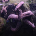 Patrick Bender Photo 12