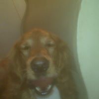 Jacqueline Garrison Photo 13