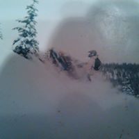 Shawn Pickering Photo 9