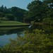 Virginia Babb Photo 17