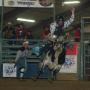 Jim Webster Photo 14
