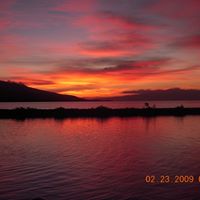 Tracy Edgell Photo 2