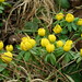 Gayle Gray Photo 31