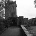 Elizabeth Bermingham Photo 12