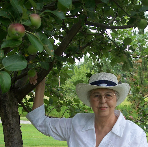 Jean Mccarthy Photo 26