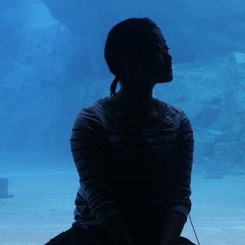 Li Lu Photo 30