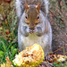 Yvonne Hedges Photo 4