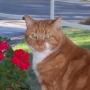 Sharon Macdonald Photo 49
