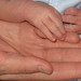 Owen Hand Photo 11