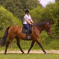 Elizabeth Boddy Photo 11