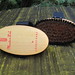 Weichen Lin Photo 11
