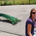 Liz Peacock Photo 24