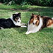 Bonnie Oliver Photo 12