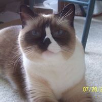 Millie Maldonado Photo 13