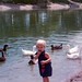 Scott Tingley Photo 11