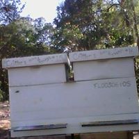 David Searcy Photo 21