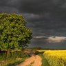 Nathan Myers Photo 34