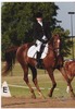 Nancy Sawyer Photo 44