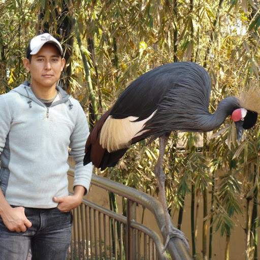 Jose Covarrubias Photo 8
