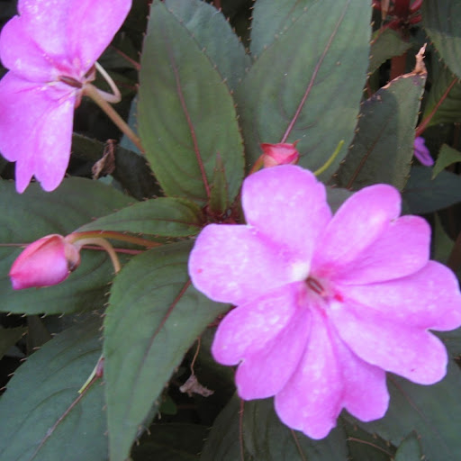 Linda Gunn Photo 32