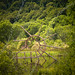 Tanya Bridges Photo 9