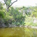 Dwight Jacobs Photo 6
