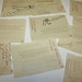 Stephanie Yeager Photo 29