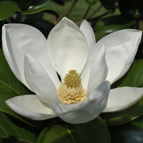 Gregory Evans Photo 36