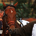 Daniel Master Photo 20