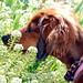 Jill Wieners Photo 9