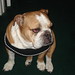 Cindy Haley Photo 30