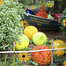 Susan Cogswell Photo 16