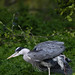 Patrick Burd Photo 3