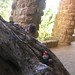 Bonnie Spain Photo 8