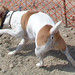 Russell Day Photo 12