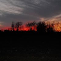 Renee Tipton Photo 5