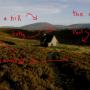 Paul Moran Photo 7