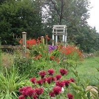 Deborah Langley Photo 9