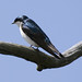 Ashwin Ramakrishnan Photo 13
