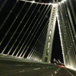 Debra Highsmith Photo 3