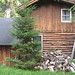 Duane Sell Photo 12