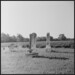 Francis Byrd Photo 23